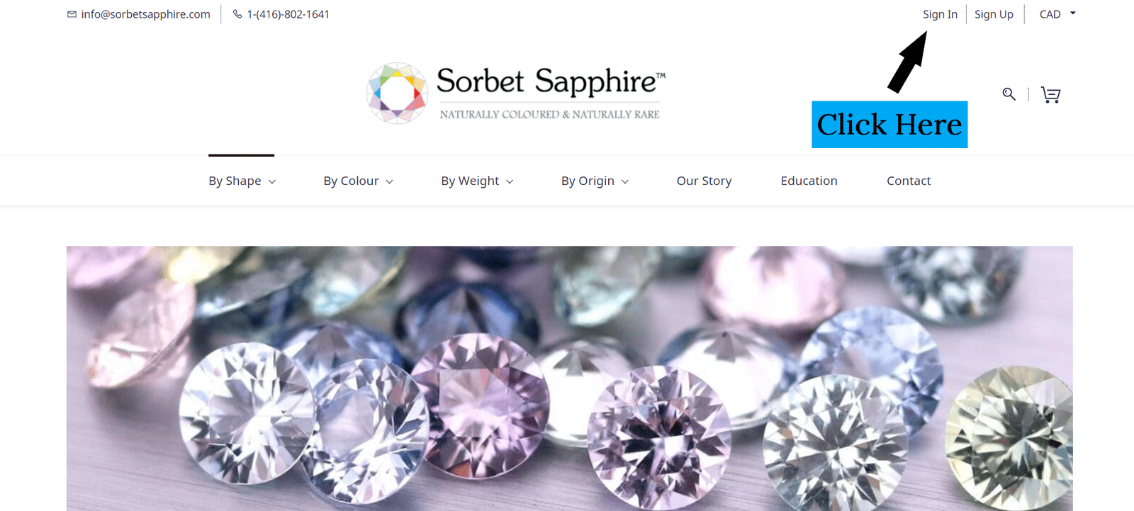 website template